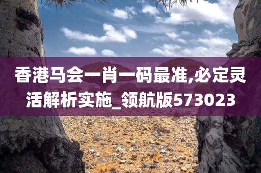 香港马会一肖一码最准,必定灵活解析实施_领航版573023