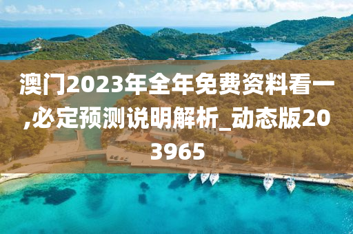 澳门2023年全年免费资料看一,必定预测说明解析_动态版203965