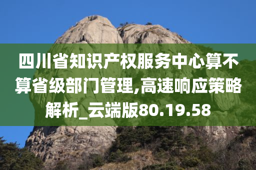 四川省知识产权服务中心算不算省级部门管理,高速响应策略解析_云端版80.19.58