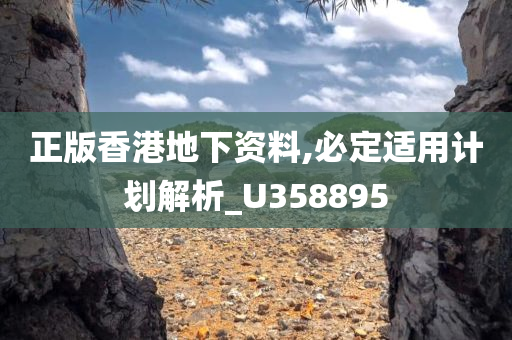 正版香港地下资料,必定适用计划解析_U358895