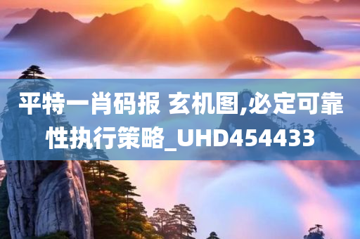 平特一肖码报 玄机图,必定可靠性执行策略_UHD454433