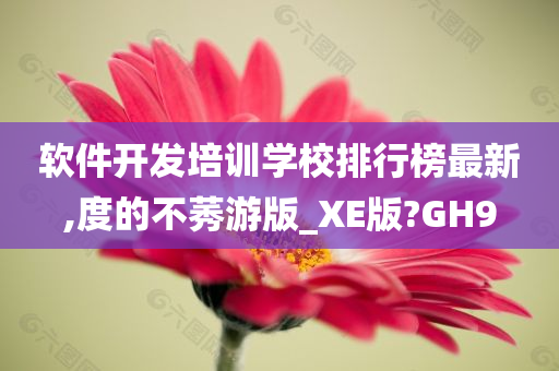 软件开发培训学校排行榜最新,度的不莠游版_XE版?GH9