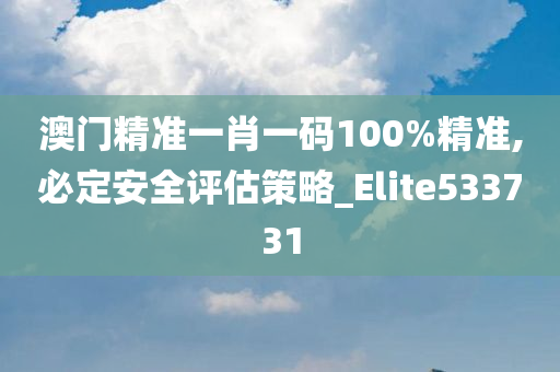 澳门精准一肖一码100%精准,必定安全评估策略_Elite533731