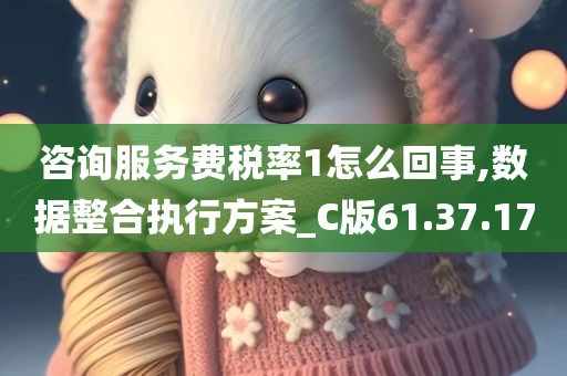 咨询服务费税率1怎么回事,数据整合执行方案_C版61.37.17