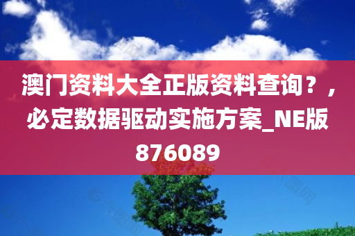 澳门资料大全正版资料查询？,必定数据驱动实施方案_NE版876089