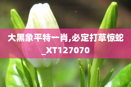 大黑象平特一肖,必定打草惊蛇_XT127070