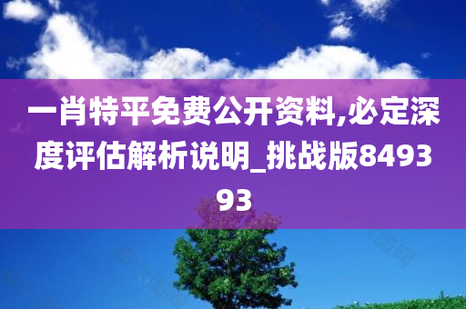 一肖特平免费公开资料,必定深度评估解析说明_挑战版849393