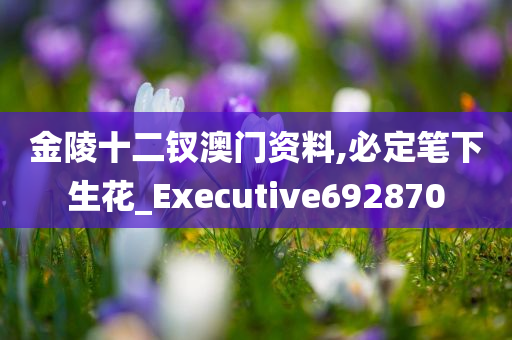 金陵十二钗澳门资料,必定笔下生花_Executive692870