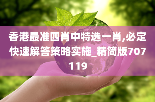 香港最准四肖中特选一肖,必定快速解答策略实施_精简版707119