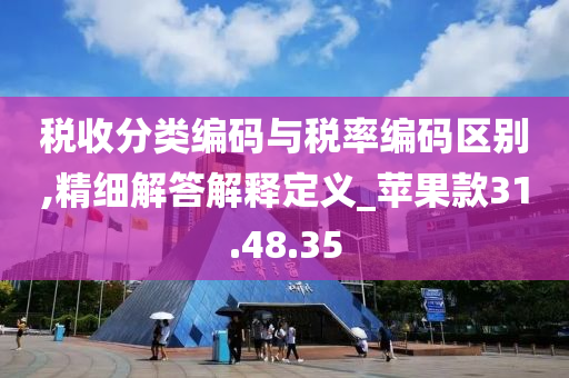 税收分类编码与税率编码区别,精细解答解释定义_苹果款31.48.35