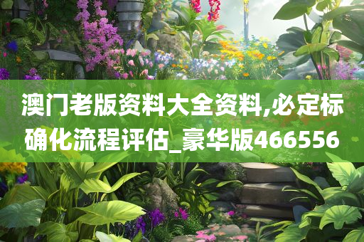 澳门老版资料大全资料,必定标确化流程评估_豪华版466556