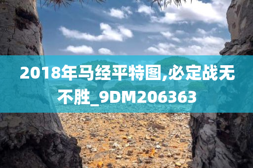 2018年马经平特图,必定战无不胜_9DM206363