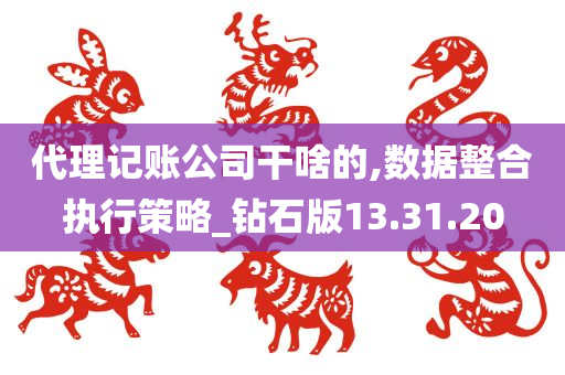 代理记账公司干啥的,数据整合执行策略_钻石版13.31.20