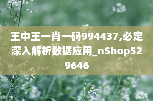 王中王一肖一码994437,必定深入解析数据应用_nShop529646