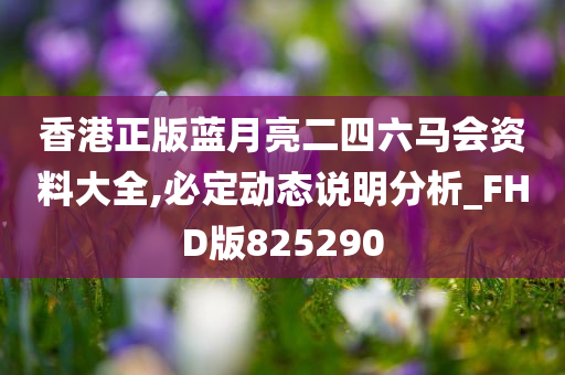 香港正版蓝月亮二四六马会资料大全,必定动态说明分析_FHD版825290