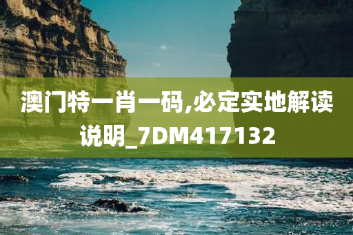 澳门特一肖一码,必定实地解读说明_7DM417132