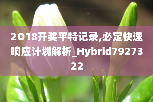 2O18开奖平特记录,必定快速响应计划解析_Hybrid7927322