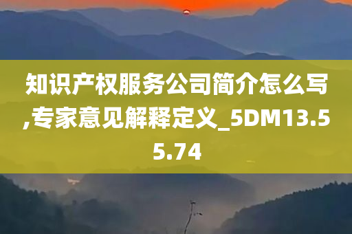 知识产权服务公司简介怎么写,专家意见解释定义_5DM13.55.74