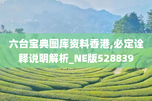 六台宝典图库资料香港,必定诠释说明解析_NE版528839