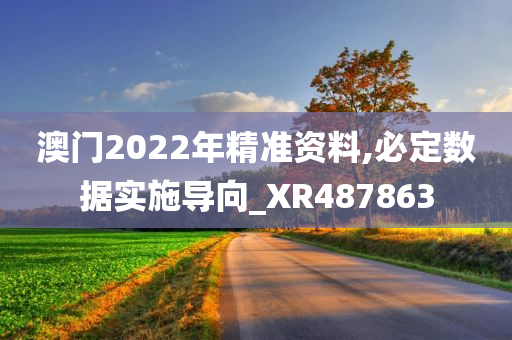 澳门2022年精准资料,必定数据实施导向_XR487863