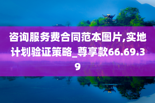 咨询服务费合同范本图片,实地计划验证策略_尊享款66.69.39