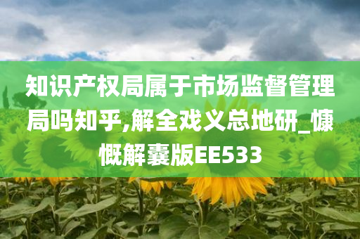 知识产权局属于市场监督管理局吗知乎,解全戏义总地研_慷慨解囊版EE533