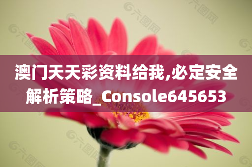 澳门天天彩资料给我,必定安全解析策略_Console645653