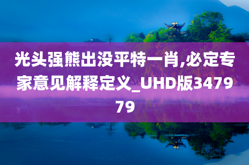 光头强熊出没平特一肖,必定专家意见解释定义_UHD版347979