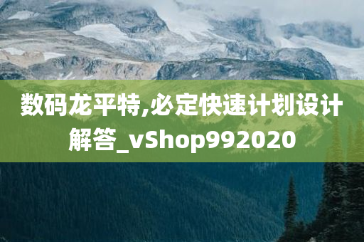 数码龙平特,必定快速计划设计解答_vShop992020