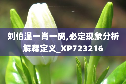 刘伯温一肖一码,必定现象分析解释定义_XP723216