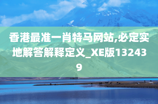 香港最准一肖特马网站,必定实地解答解释定义_XE版132439