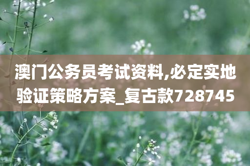 澳门公务员考试资料,必定实地验证策略方案_复古款728745