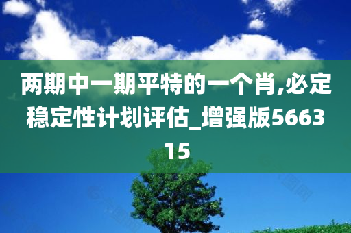 两期中一期平特的一个肖,必定稳定性计划评估_增强版566315