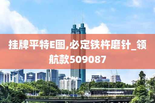 挂牌平特E图,必定铁杵磨针_领航款509087