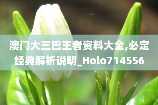 澳门大三巴王者资料大全,必定经典解析说明_Holo714556