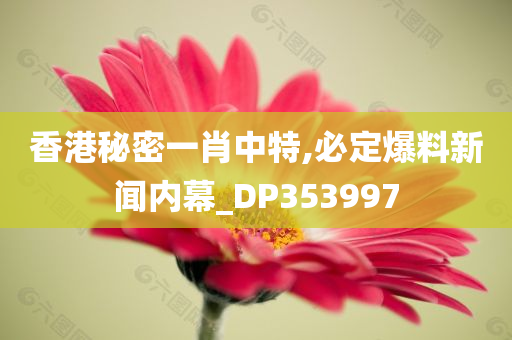 香港秘密一肖中特,必定爆料新闻内幕_DP353997