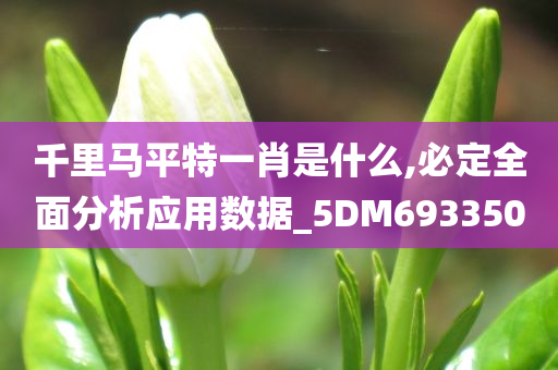 千里马平特一肖是什么,必定全面分析应用数据_5DM693350