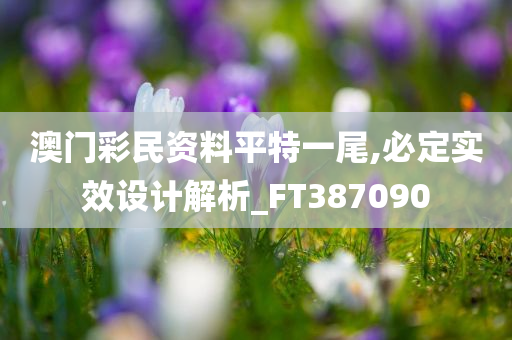 澳门彩民资料平特一尾,必定实效设计解析_FT387090