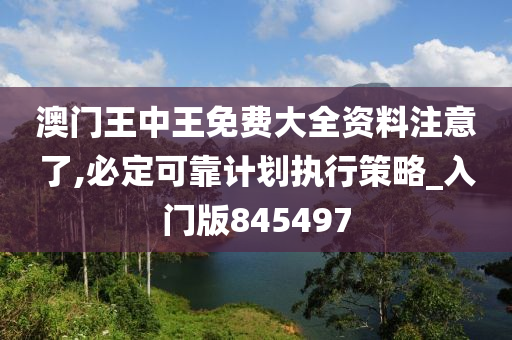 澳门王中王免费大全资料注意了,必定可靠计划执行策略_入门版845497