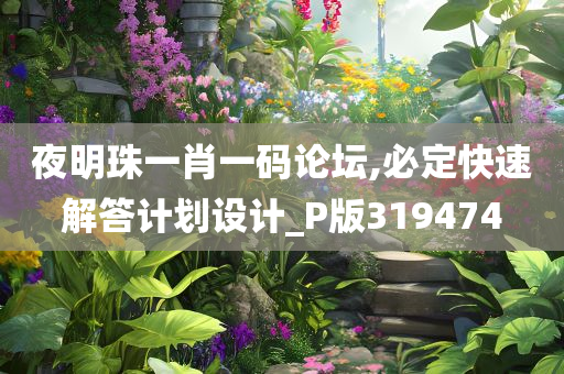 夜明珠一肖一码论坛,必定快速解答计划设计_P版319474