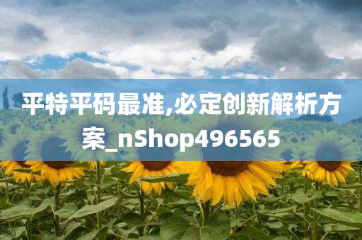 平特平码最准,必定创新解析方案_nShop496565