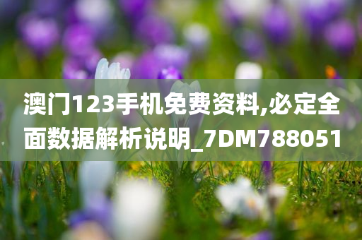 澳门123手机免费资料,必定全面数据解析说明_7DM788051