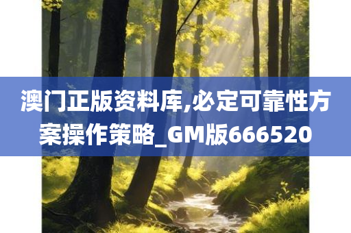 澳门正版资料库,必定可靠性方案操作策略_GM版666520