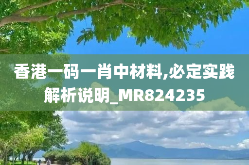 香港一码一肖中材料,必定实践解析说明_MR824235