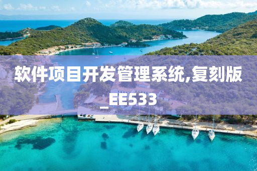 软件项目开发管理系统,复刻版_EE533