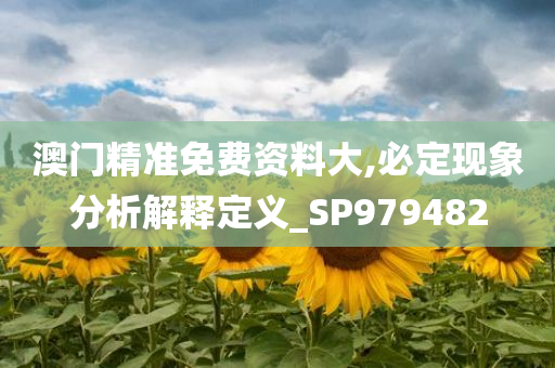 澳门精准免费资料大,必定现象分析解释定义_SP979482