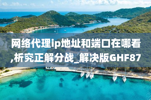 网络代理ip地址和端口在哪看,析究正解分战_解决版GHF87