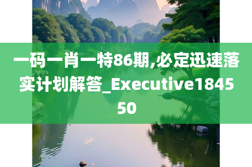 一码一肖一特86期,必定迅速落实计划解答_Executive184550