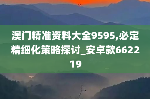 澳门精准资料大全9595,必定精细化策略探讨_安卓款662219