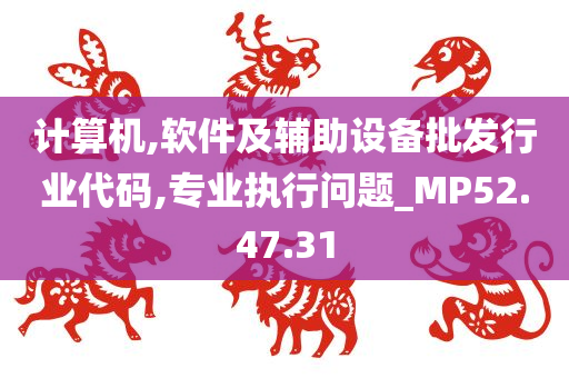 计算机,软件及辅助设备批发行业代码,专业执行问题_MP52.47.31